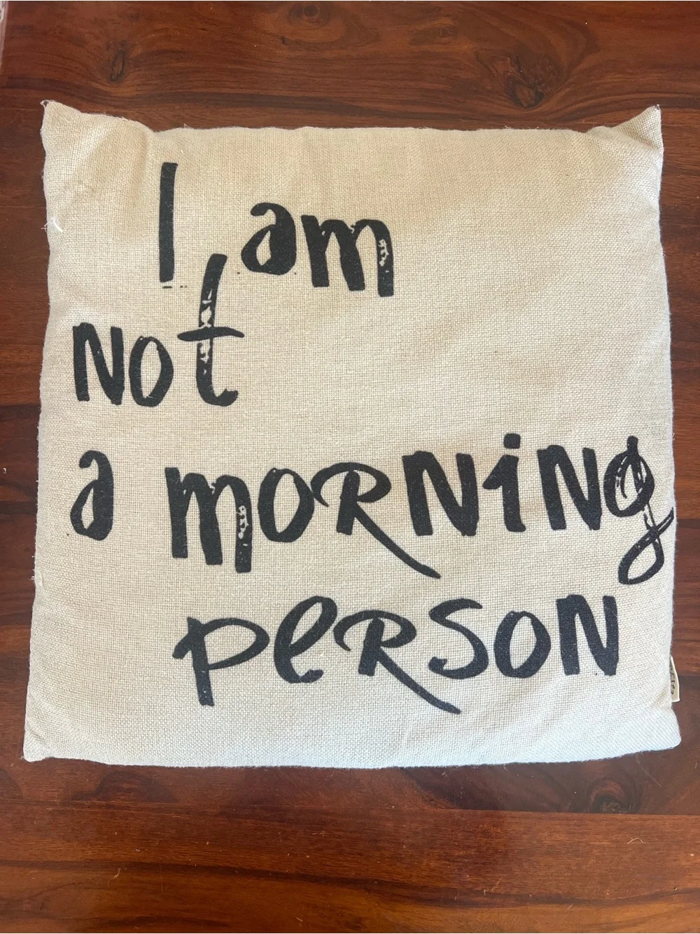Not a Morning Person Decorative Throw Pillow - Black on Cream